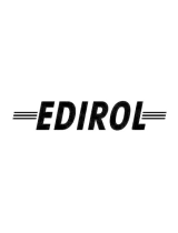 EdirolR-09