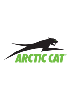 Arctic Cat450 H1 2010