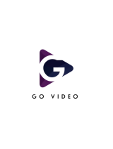 GoVideoDV3130