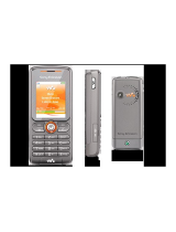 Sony EricssonZ310i