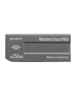 Sony MSX-256S Användarmanual