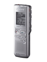 Sony ICD-B100 de handleiding