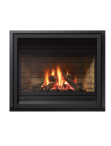 Regency Fireplace ProductsP36D-NG1