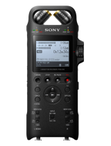 SonyPCM-D10