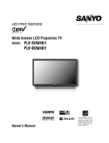 Sanyo PLV-55WR1Z User manual
