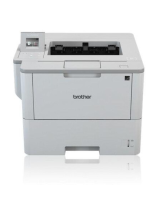 Brother HLL6300DW User guide