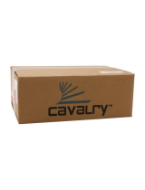 CavalryCAUI37750