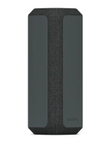 SonySRS-XE300