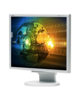 NEC MultiSync® LCD2070VX Le manuel du propriétaire