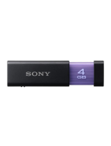 Sony16GB