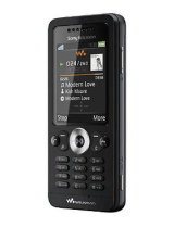 Sony EricssonW302