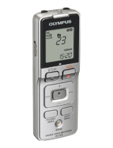Olympus VN-6500 Användarmanual