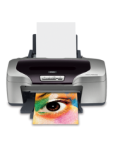 EpsonR800 - Stylus Photo Color Inkjet Printer