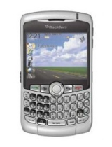 BlackBerry Curve8310