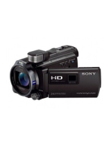 Sony HDR-PJ790E de handleiding