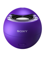 Sony SRS-X1 Snelstartgids
