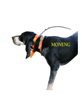 GarminDC™ 50 Dog Tracking Collar