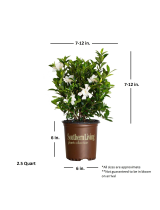 Southern Living Plant Collection79602