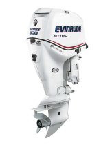 EvinrudeE-TEC 200