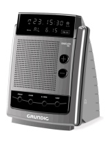 GrundigSC 910