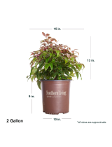 Southern Living Plant Collection2394Q