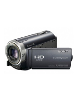 Sony HDR-CX300E Manualul proprietarului