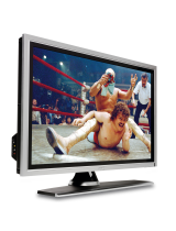 DellLCD TV W3202C