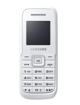 SamsungSM-B109E