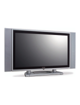 ViewSonicFlat Panel Television N4200W