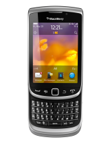 BlackberryTorch 9810