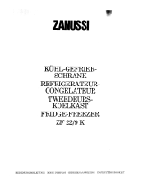 ZanussiZF22/9K