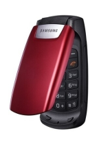 Samsung SGH-C260 Manuale utente