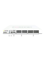 Fortinet400