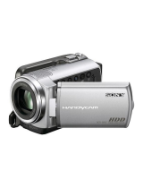 SonyHandycam DCR-SR48