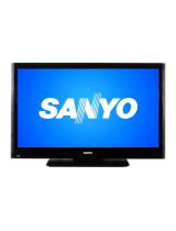Sanyo720P/1080P