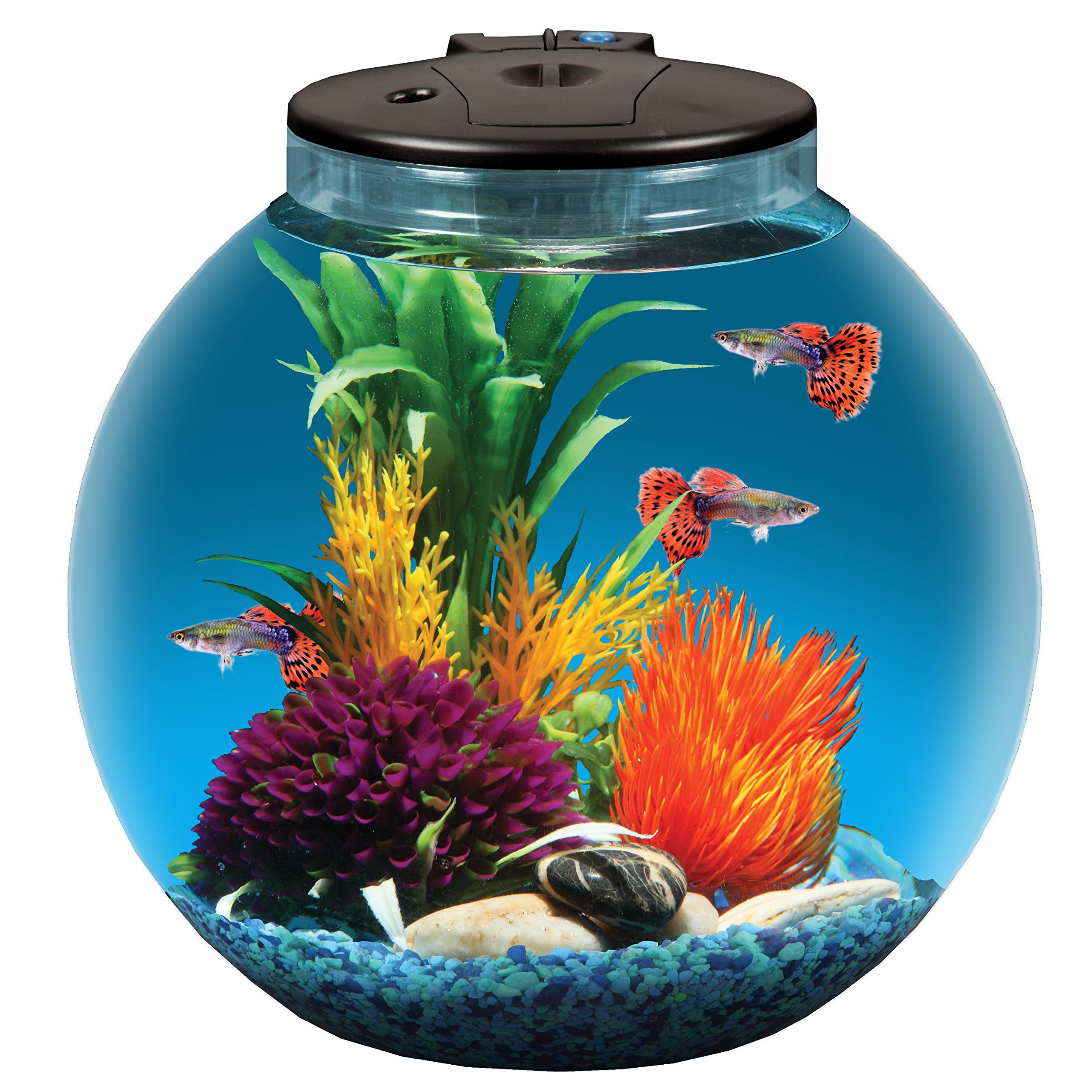 Koller Products 3-Gallon Fish Bowl