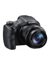 Sony Cyber-Shot DSC HX300 Manual de utilizare