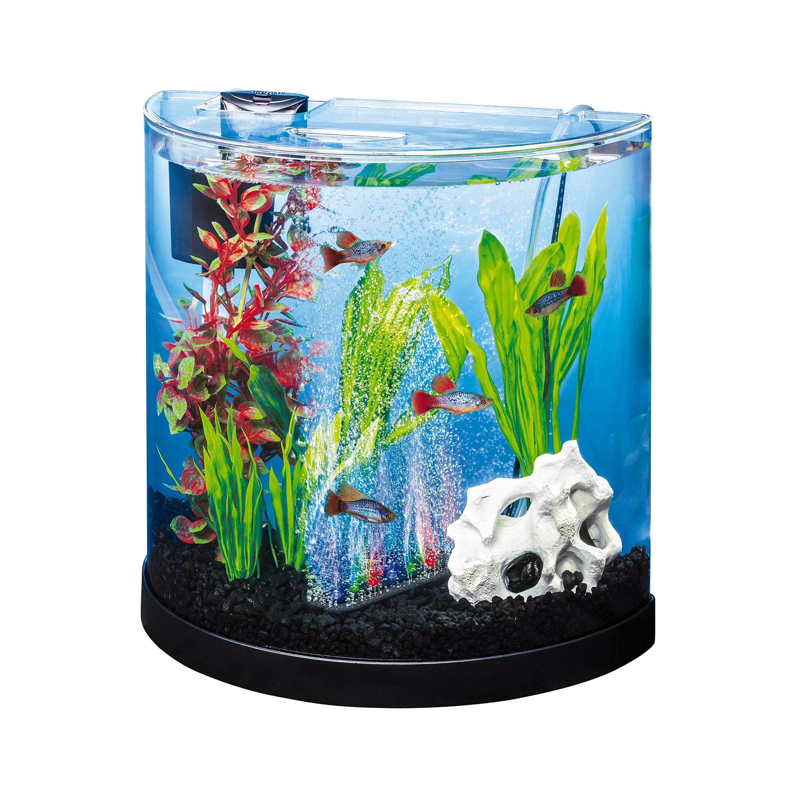 Tetra ColorFusion Starter aquarium Kit 3 Gallons, Half-Moon Shape,