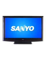 SanyoDP42740