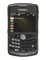 BlackberryCurve 8330