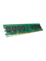 AsusP1 AH2 - Pundit - 0 MB RAM