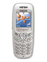 SamsungSGH-C207L
