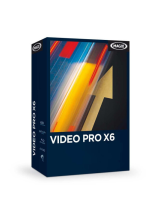MAGIXVideo Pro X6