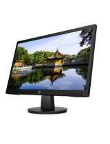 HPValue 22-inch Displays