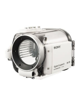 SonyDCR SR100 - Handycam Camcorder - 3.3 MP