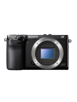 SonyAlpha NEX-7 Body Black