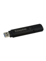 Kingston TechnologyDTLPG2/4GB