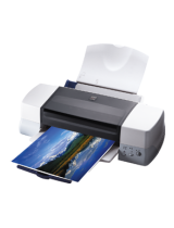 EpsonStylus Photo 870 Ink Jet Printer