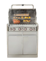 SummitGas Grill 460-LP