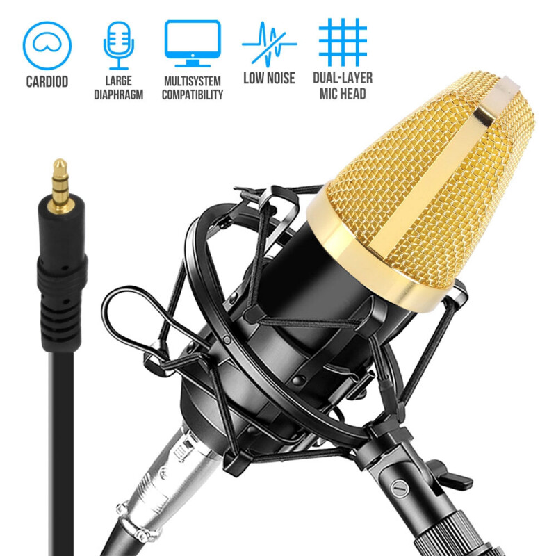 Professional Recording and Broadcasting Microphone